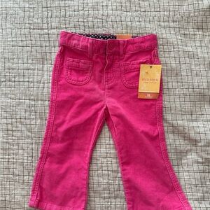 Sonoma Bright Pink Kids Corduroy Pants